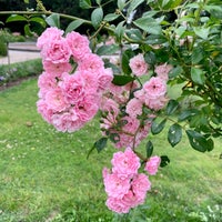 Photo taken at Jardins du Château de Chenonceau by Li L. on 6/27/2020