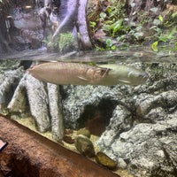 รูปภาพถ่ายที่ Aquàrium de Barcelona โดย Muath เมื่อ 10/21/2024