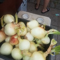 Photo prise au Cortelyou Greenmarket par RDasheenb D. le7/7/2019