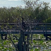 Photo prise au Anhinga Trail par Sameer U. le11/21/2024