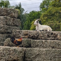 Photo taken at Robert Is Here Fruit Stand &amp;amp; Farm by Keith H. on 12/7/2023