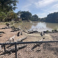 Photo taken at Everglades Alligator Farm by Michal J. on 1/21/2024