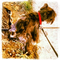 Photo taken at Columbia Heights Neighborhood Dog Walk by Hugh B. on 10/4/2012