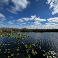 1/31/2025 tarihinde MaryBeth S.ziyaretçi tarafından Everglades Ulusal Parkı'de çekilen fotoğraf