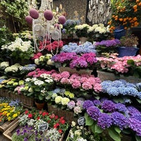 Photo taken at Marché aux fleurs Reine Elizabeth II by Kim G. on 5/22/2024