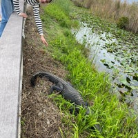 Photo prise au Anhinga Trail par Benoit H. le12/29/2022