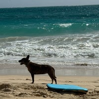 Photo taken at Waimanalo Beach Park by Riann G. on 6/3/2024