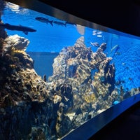 รูปภาพถ่ายที่ Aquàrium de Barcelona โดย Julien เมื่อ 10/19/2024