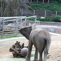 Photo taken at Elephant Overlook by Shelly M. on 1/21/2019