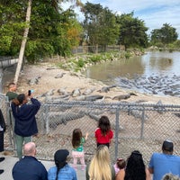 Photo taken at Everglades Alligator Farm by Türker A. on 2/15/2022