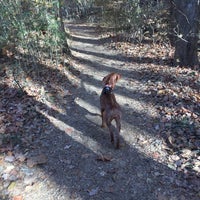 Photo taken at Chattahochee River National Recreation Area Palisades: Indian Trail by Meredith B. on 11/25/2016