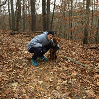 Photo taken at Chattahochee River National Recreation Area Palisades: Indian Trail by Meredith B. on 12/11/2016