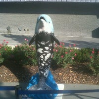 9/14/2011에 Chris L.님이 &amp;quot;Dolphin Gaga&amp;quot; Dolphin on Parade @ Pemberton Place Park에서 찍은 사진