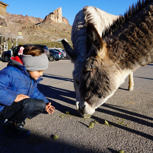 Photo taken at Oatman Hotel by Petr M. on 1/31/2020