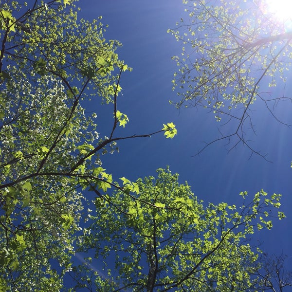 Photo taken at Chattahoochee River National Recreation Area by Trent H. on 4/8/2017