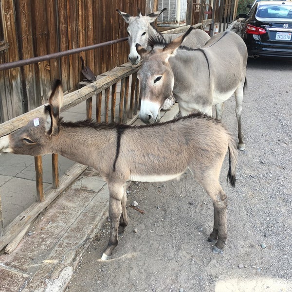 Photo taken at Oatman Hotel by Alejandro R. on 8/22/2017