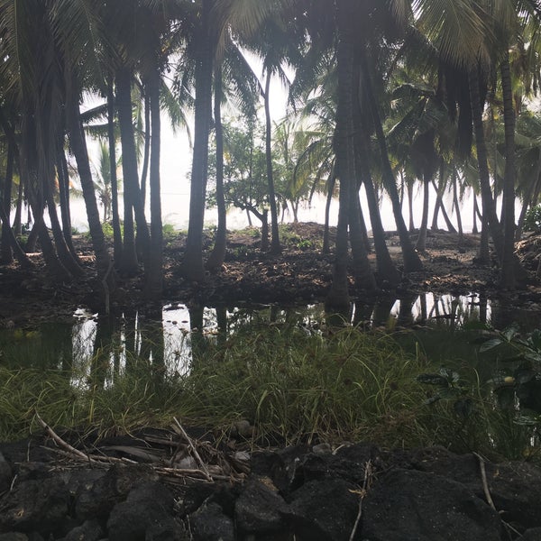 Recommend sneakers for hike in, but beware wading through water for public access.  Walk about a mile to the snorkeling spot.