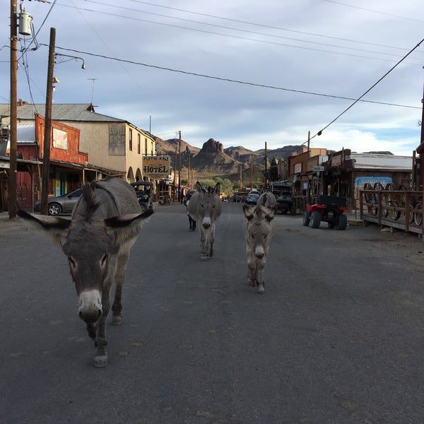 Photo taken at Oatman Hotel by Su on 11/21/2017