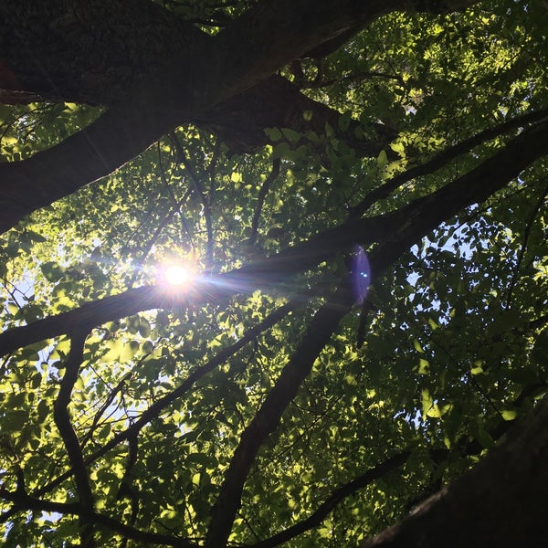 Photo taken at Chattahoochee River National Recreation Area by @karenlisa on 5/15/2017