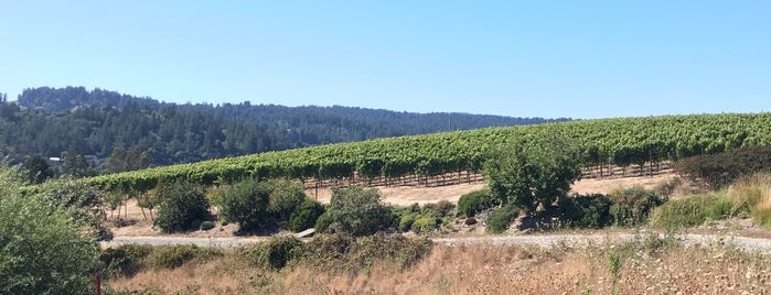 Littorai Wines Estate Winery is one of Beyond the Peninsula.