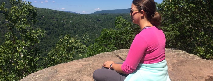 Kaaterskill Falls is one of Swimming Holes.