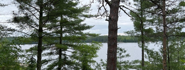 Voyageurs National Park is one of National Park Service.