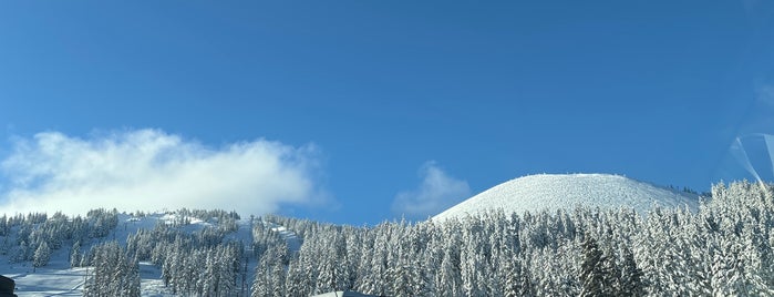 Mt. Bachelor Ski Resort is one of Lieux qui ont plu à Ray.