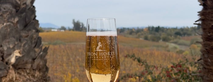 Iron Horse Vineyards is one of Beyond the Peninsula.