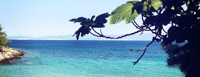 Glifoneri Beach is one of Thassos.