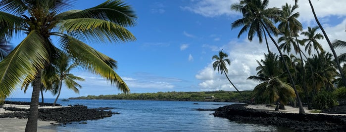 Hōnaunau Bay Puʻuhonua Pt. is one of Hawaii - To Do.