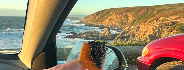 Bodega Head is one of Beyond the Peninsula.