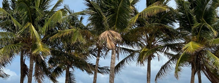 Crandon Park Beach is one of Maria’s Liked Places.