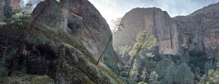 Pinnacles National Park is one of Beyond the Peninsula.