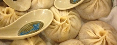 Gourmet Dumpling House is one of Succulent Soup Dumplings.