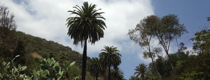 Runyon Canyon Park is one of Hiking.