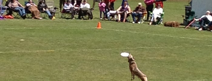 Piedmont Park Dog Park is one of Top 10 favorites places in Atlanta, GA.