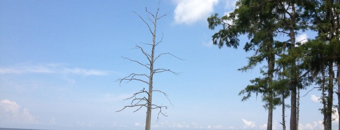 Fontainebleau State Park is one of 36 Outstanding Beaches.