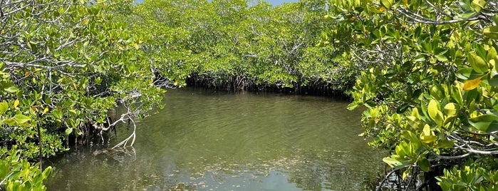 ジョン・ペネカンプ・コーラル・リーフ州立公園 is one of Miami -> Key West.