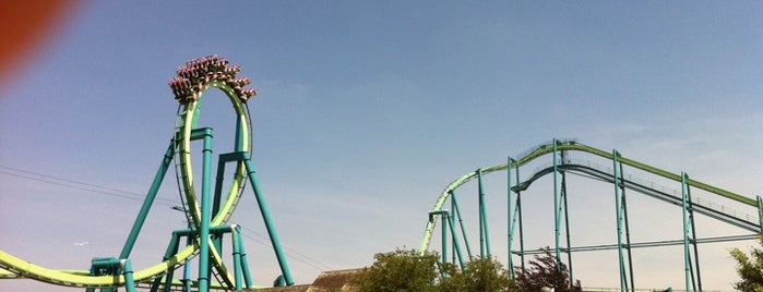 Raptor is one of Conquering Cedar Point.