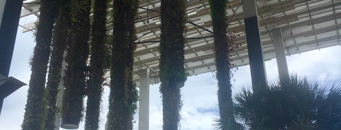 Pérez Art Museum Miami (PAMM) is one of miami.