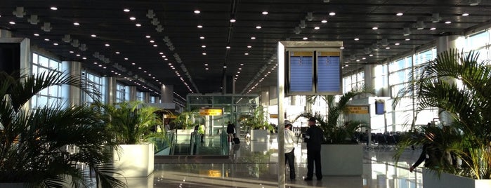 Terminal 3 is one of Lieux qui ont plu à Alcione.