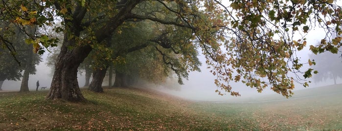 Greenwich Park is one of Olympic Sites.