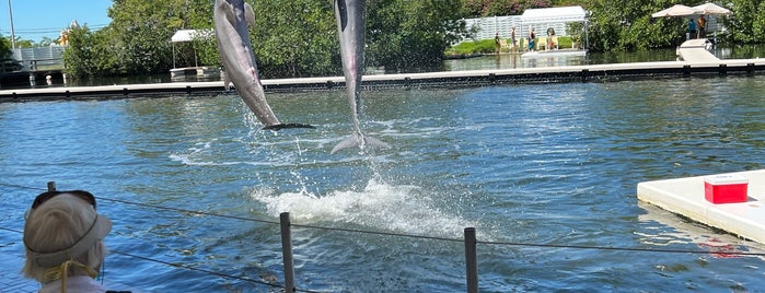 Theater of the Sea is one of Miami -> Key West.