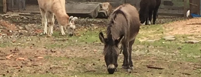 The Goat Farm Arts Center is one of Places to see.