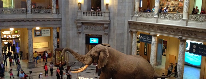 National Museum of Natural History is one of Pablo’s Liked Places.