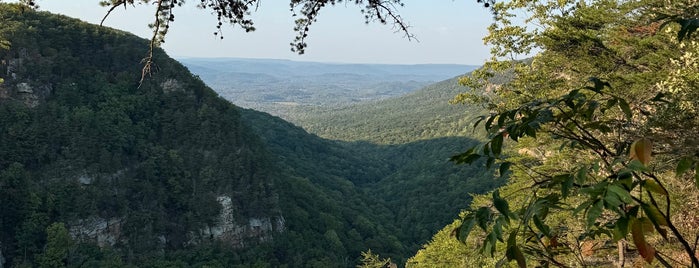 Cloudland Canyon State Park is one of Things to Do.