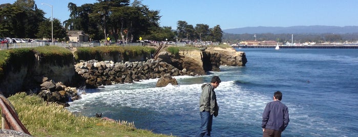 Lighthouse Field State Beach is one of Beyond the Peninsula.