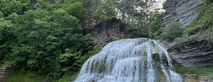 Lower Falls is one of Swimming Holes.