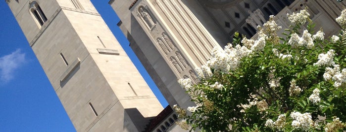 Basilica Of The National Shrine Of The Immaculate Conception is one of DC Stuff.