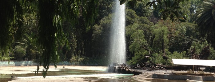 Parque México is one of DF.